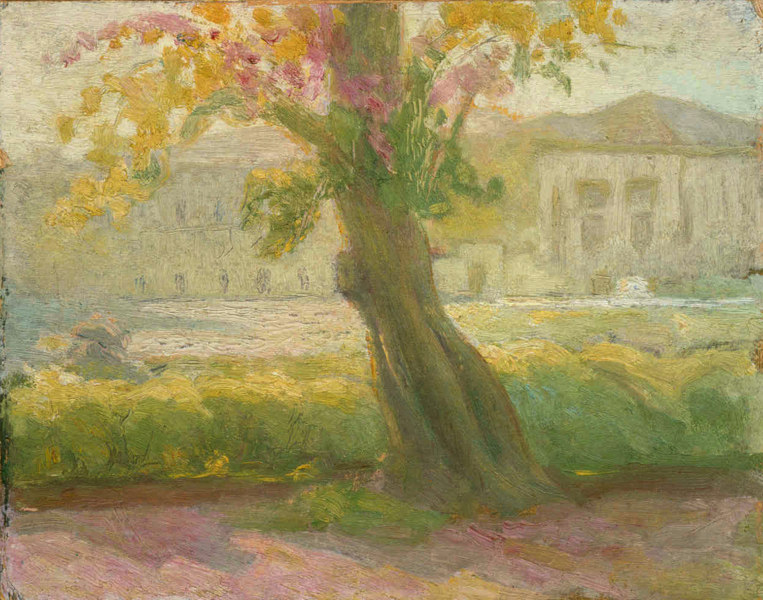 Ağaçlı Görünü - View with Tree