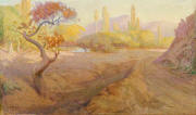Çubuk Çayı - The Brook Çubuk